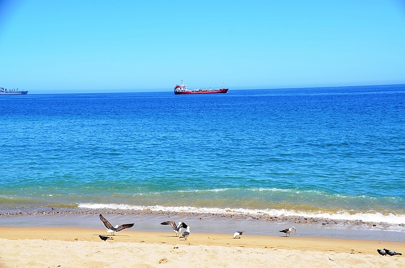 151_Chile_Vina_del_Mar.JPG