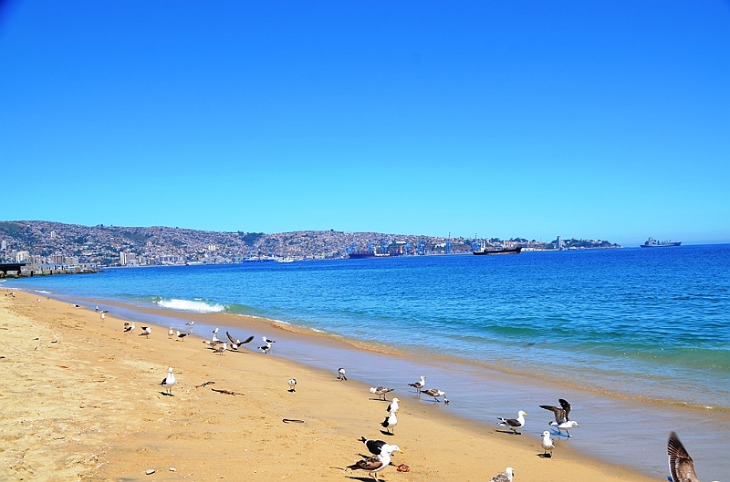 153_Chile_Vina_del_Mar.JPG