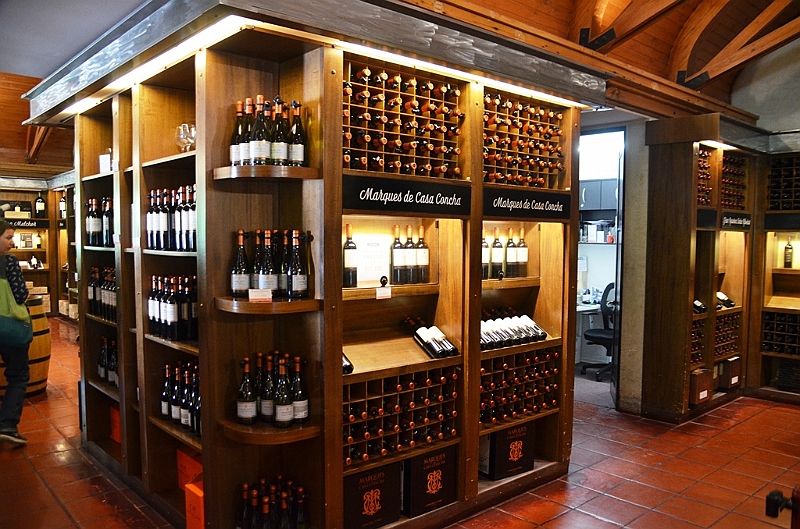 211_Chile_Concha_y_Toro_Winery.JPG