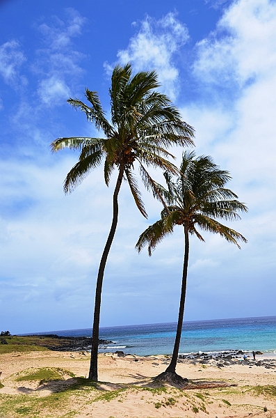 044_Chile_Easter_Island_Anakena.JPG