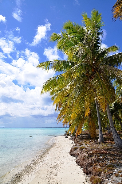 032_French_Polynesia_Fakarava.JPG