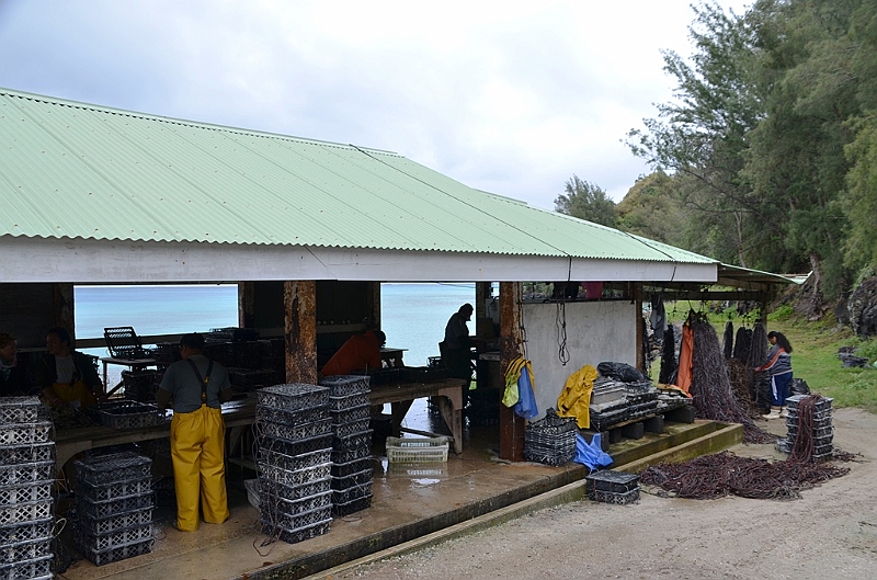 156_French_Polynesia_Gambier_Islands_Aukena_Pearl_Farm.JPG