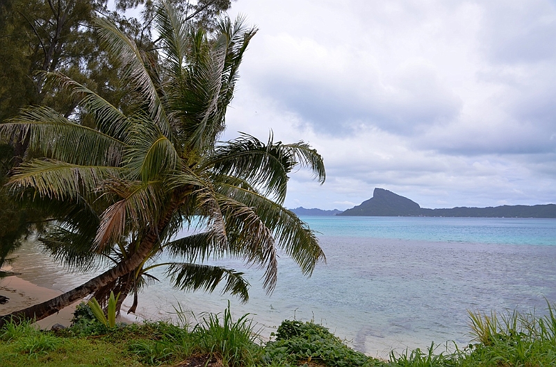 166_French_Polynesia_Gambier_Islands_Aukena.JPG