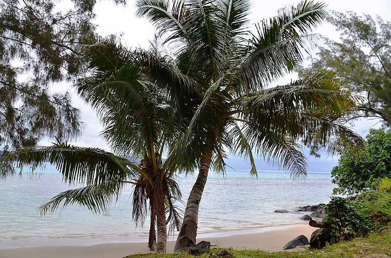 168_French_Polynesia_Gambier_Islands_Aukena.JPG