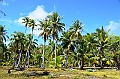 035_French_Polynesia_Fakarava