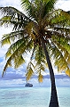 036_French_Polynesia_Fakarava