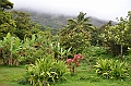 083_French_Polynesia_Gambier_Islands_Rikitea