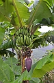 088_French_Polynesia_Gambier_Islands_Rikitea