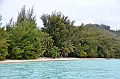 137_French_Polynesia_Gambier_Islands_Aukena
