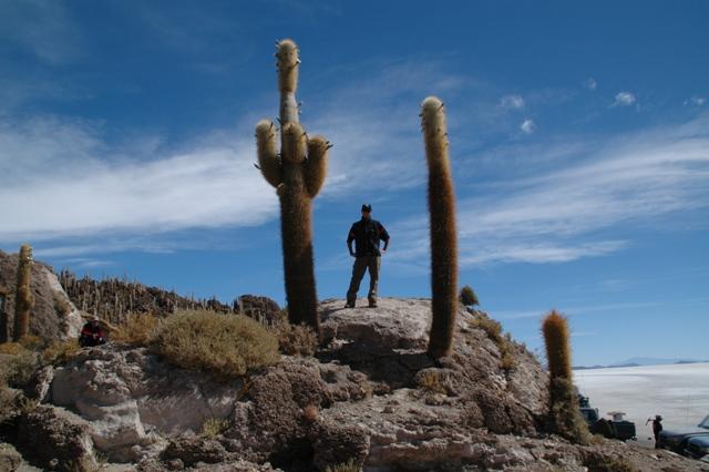 432_Bolivien_Salar_de_Uyuni_Isla_del_Pescado_Privat.JPG