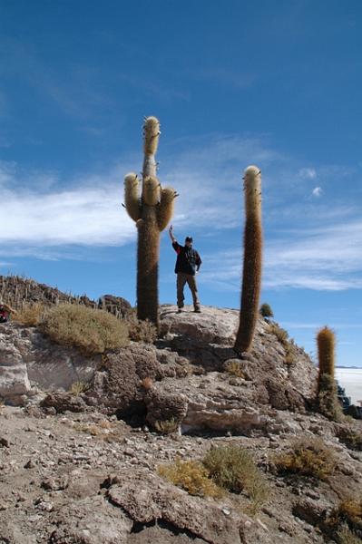 433_Bolivien_Salar_de_Uyuni_Isla_del_Pescado_Privat.JPG