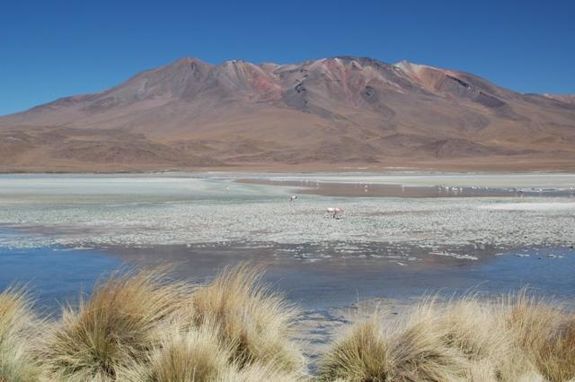 475_Bolivien_Altiplano_Landscap.JPG