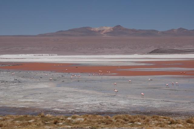 483_Bolivien_Altiplano_Landscap.JPG