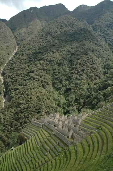 297_Peru_Inkatrail_Winaywayna.JPG