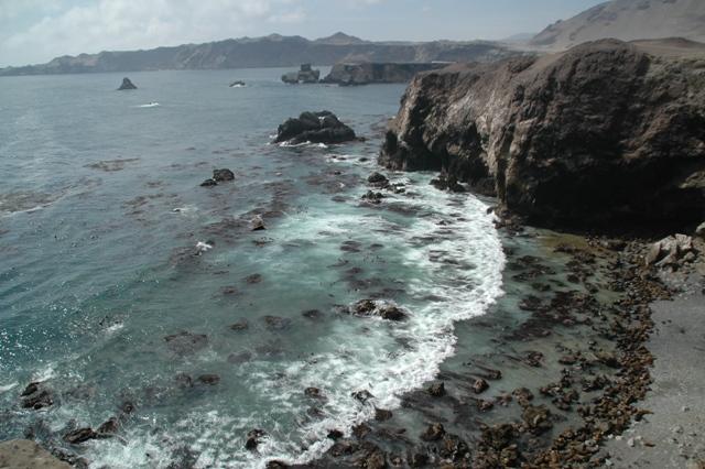 092_Peru_Playa_La_Aguada_Seeloewen.JPG