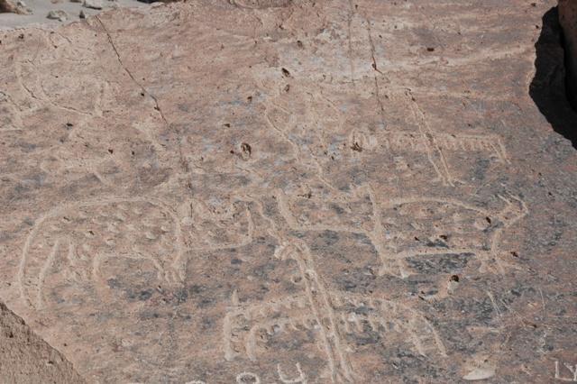 115_Peru_Petroglyphen_in_Toro_Muerto.JPG