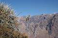 132_Peru_Colca_Tal_Cruz_del_Condor