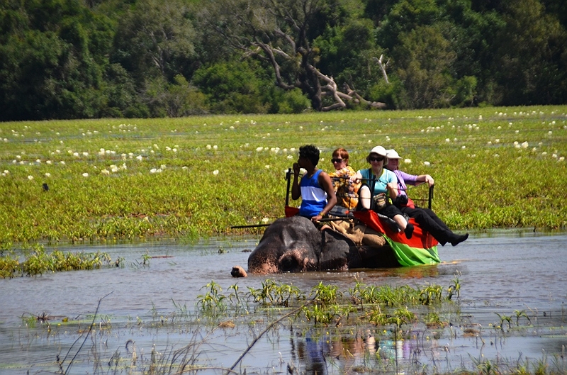 097_Sri_Lanka_Sigiriya.JPG