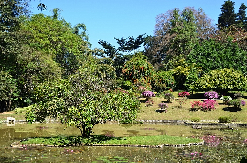 285_Sri_Lanka_Kandy_Botanic_Gardens.JPG