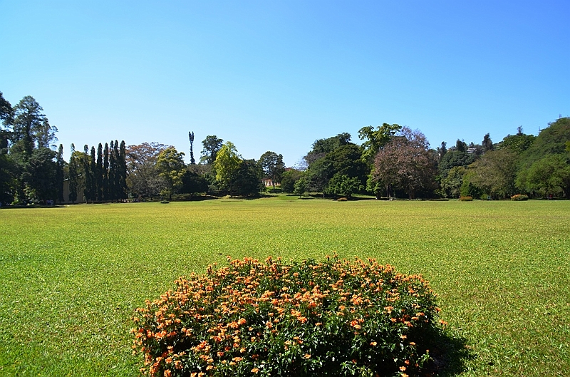293_Sri_Lanka_Kandy_Botanic_Gardens.JPG