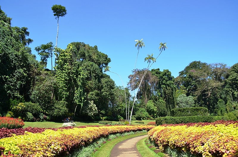 302_Sri_Lanka_Kandy_Botanic_Gardens.JPG