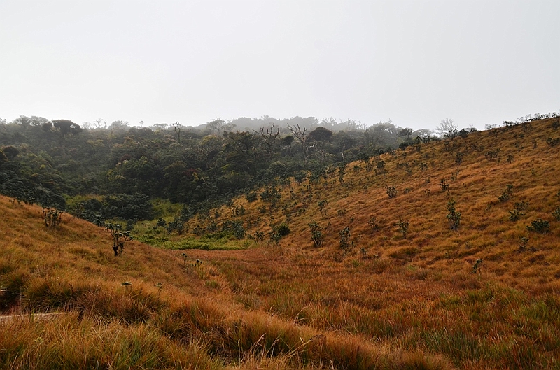 384_Sri_Lanka_Horton_Plains_NP.JPG