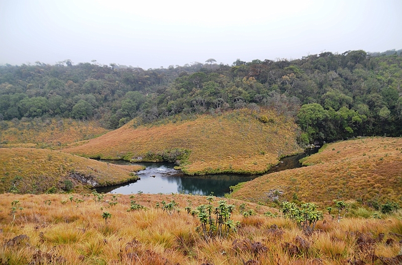 386_Sri_Lanka_Horton_Plains_NP.JPG