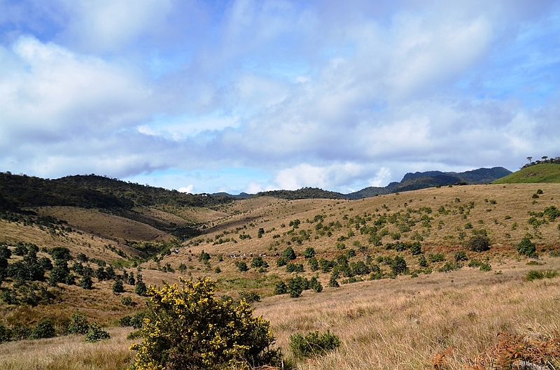 404_Sri_Lanka_Horton_Plains_NP.JPG