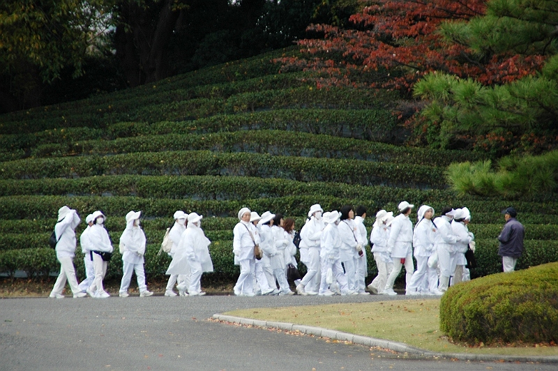 042_Tokyo_Imperial_Palace_Gardens.JPG
