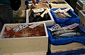 108_Tokyo_Fishmarket