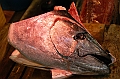 111_Tokyo_Fishmarket