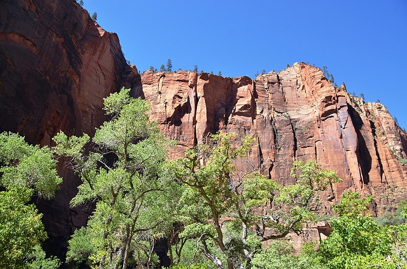 033_USA_Zion_National_Park.JPG