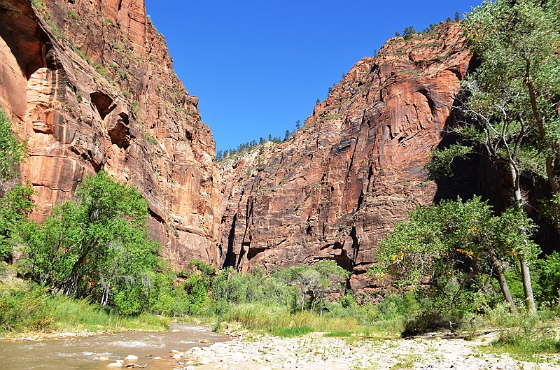 036_USA_Zion_National_Park.JPG