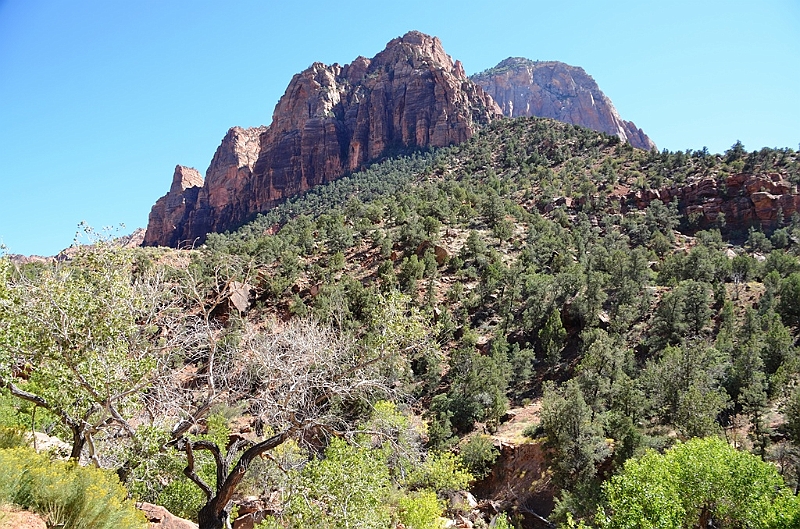 045_USA_Zion_National_Park.JPG