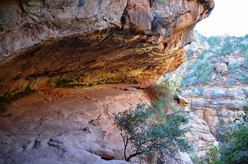 070_USA_Zion_National_Park.JPG