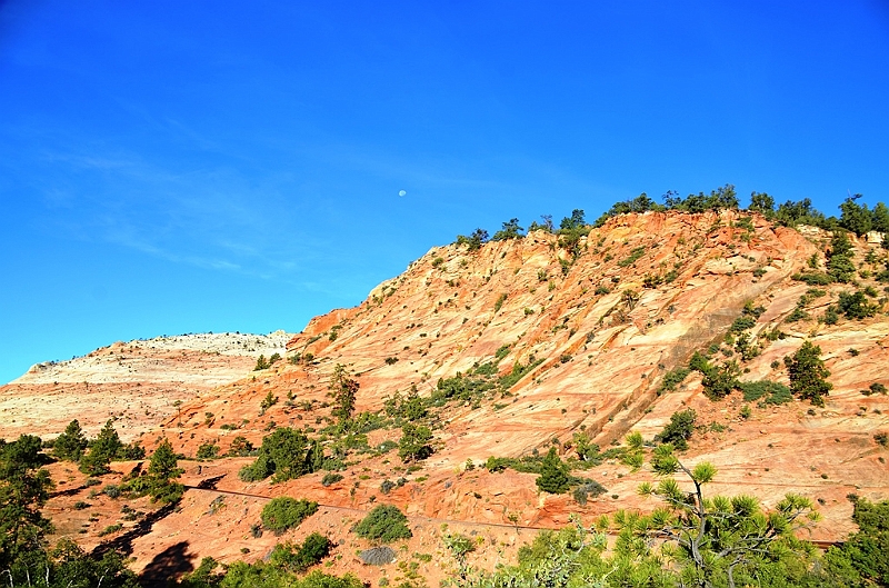 075_USA_Zion_National_Park.JPG