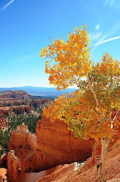 089_USA_Bryce_Canyon_National_Park.JPG