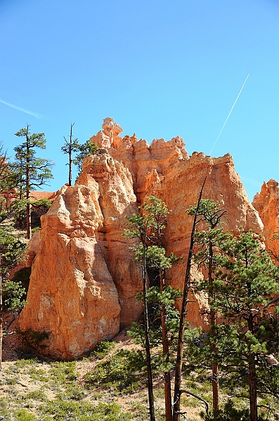 095_USA_Bryce_Canyon_National_Park.JPG