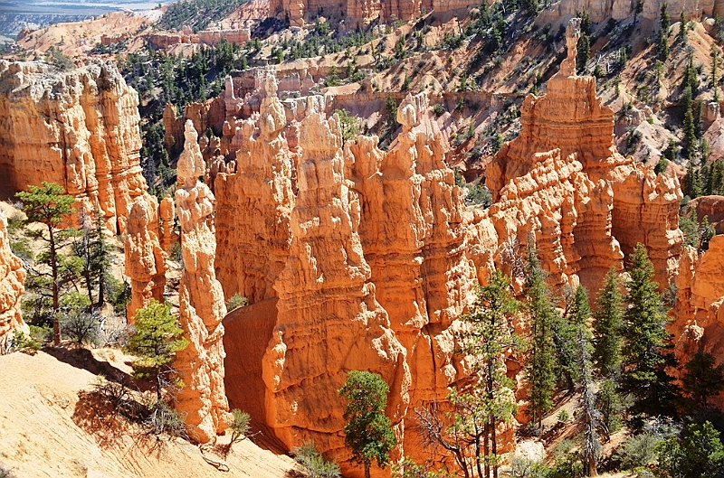 130_USA_Bryce_Canyon_National_Park.JPG