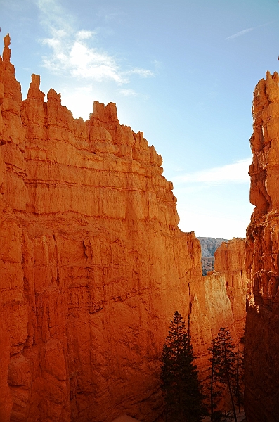 172_USA_Bryce_Canyon_National_Park.JPG