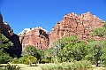 027_USA_Zion_National_Park