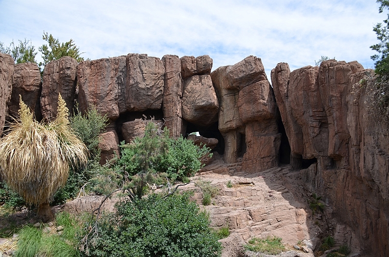 006_USA_Arizona_Sonora_Desert_Museum.JPG