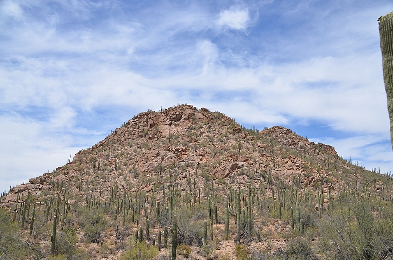 032_USA_Saguaro_National_Park.JPG
