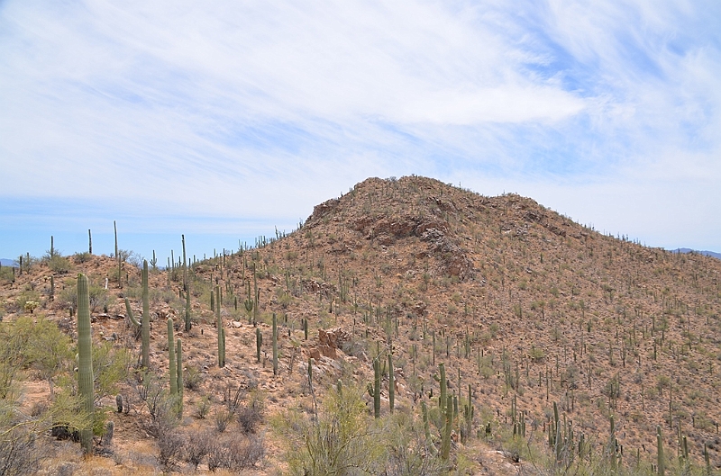 038_USA_Saguaro_National_Park.JPG