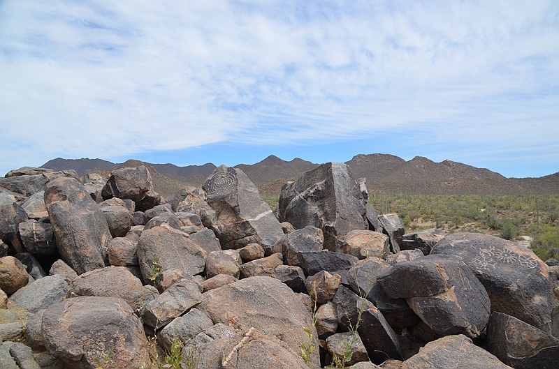047_USA_Saguaro_National_Park.JPG