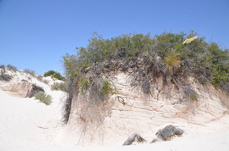 109_USA_White_Sands_National_Monument.JPG