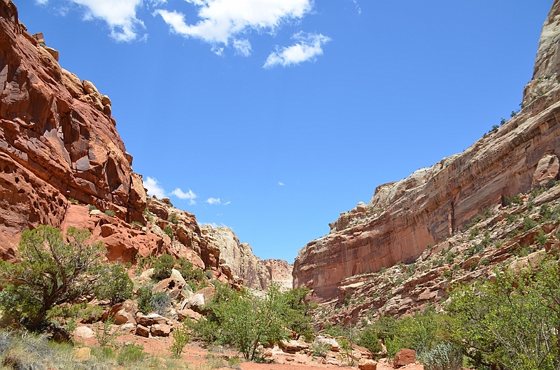 283_USA_Capital_Reef_National_Park.JPG