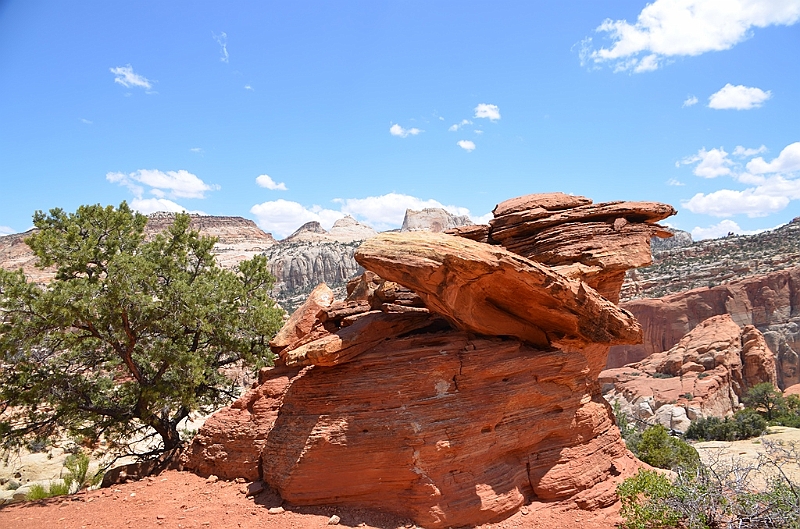 296_USA_Capital_Reef_National_Park.JPG