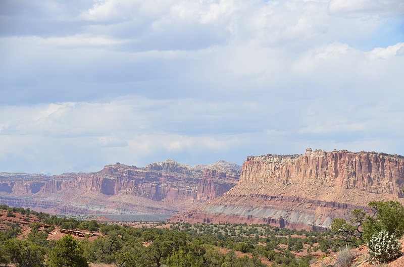 310_USA_Capital_Reef_National_Park.JPG