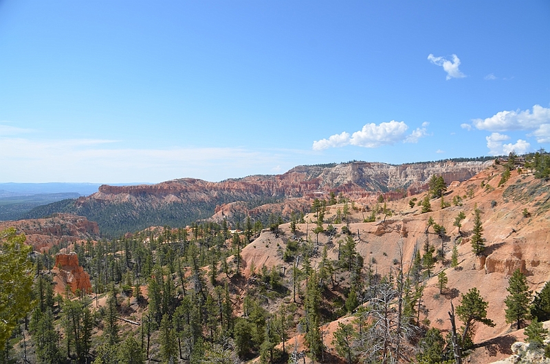 325_USA_Bryce_Canyon_National_Park.JPG